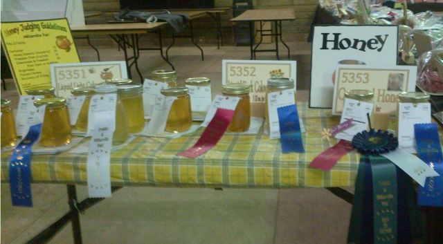 Fairly good honey: the best at the fair