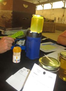 Inspecting with persnicketiness.