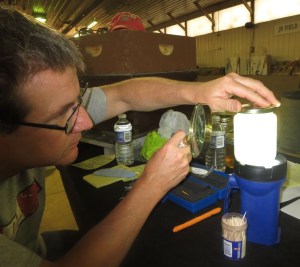 A friend, Stephen, inspects honey for blemishes. <br>Nice light Canadian honey, eh?