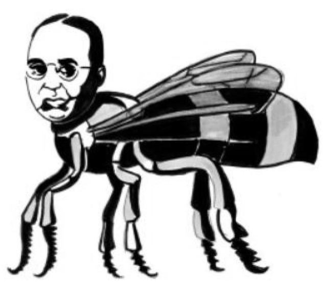 The Bee Man