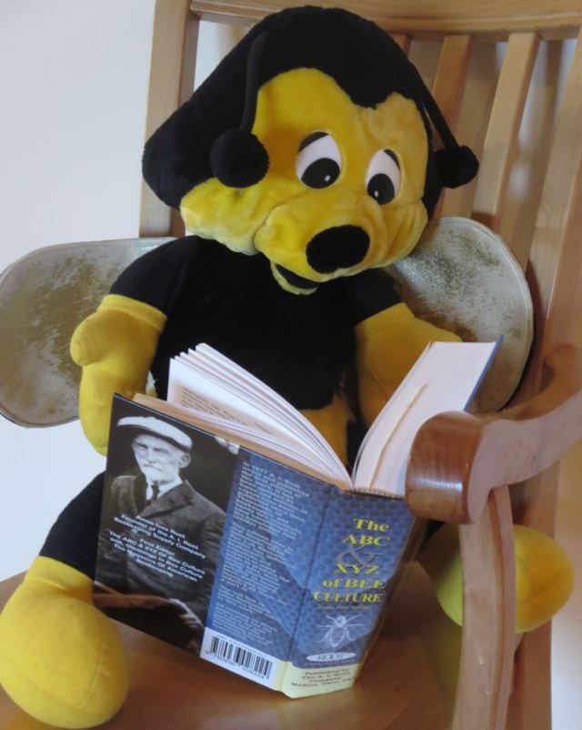 Benny reading