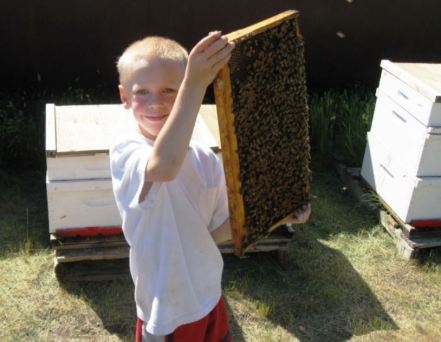 kid beekeeper 2