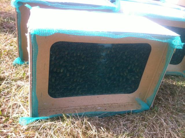 brisebois 2 New Zealand package