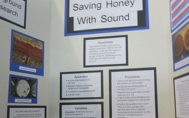 SciFair-5