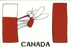 canada mosquito flag
