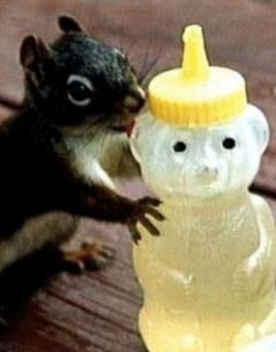 Kissing good prices goodbye.