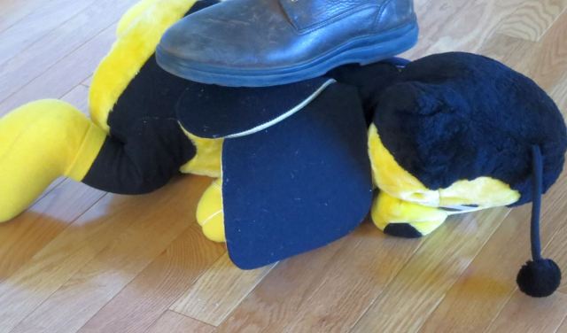 squashed Benny