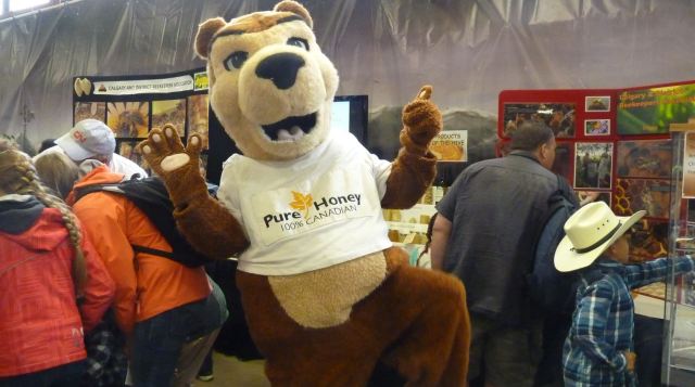 Getting down and Partyin' at the Calgary Stampede