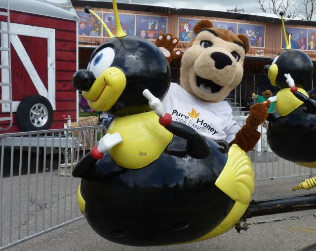 Pierre the Bear bothering a bee. You can't get much closer at catching the spirit of the Calgary Stampede!