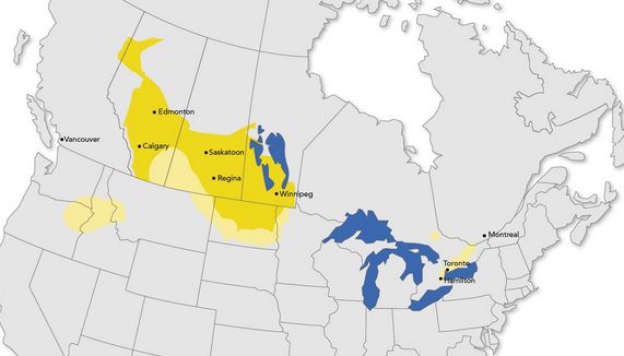 Canada's canola district.