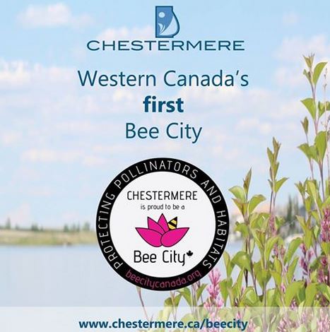 chestermere bee city