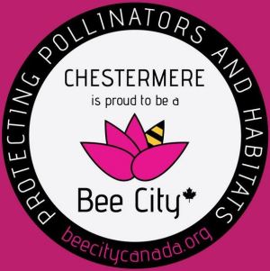 chestermere offical site