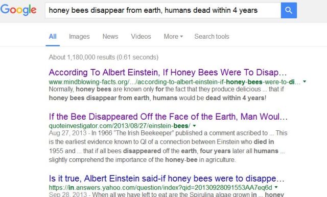 Einstein search