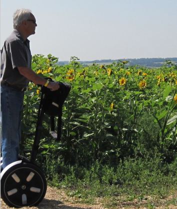 sunflowers and segway