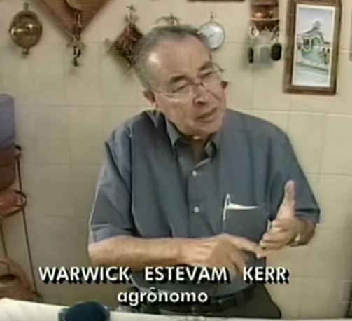 warwick-kerr-video