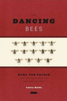 dancing-bees-munz