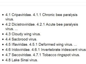 virus-list