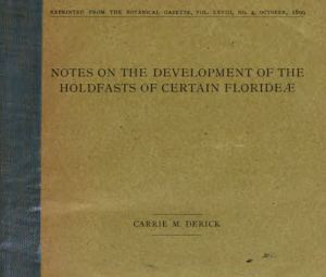 derick-book-cover