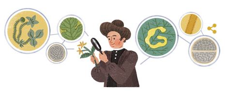 Google.ca Search Image for January 14, 2017 - geneticist/botanist Carrie Derick