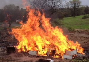 burning-foulbrood