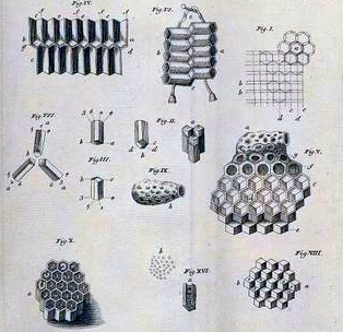 swammerdam-comb-cells-3
