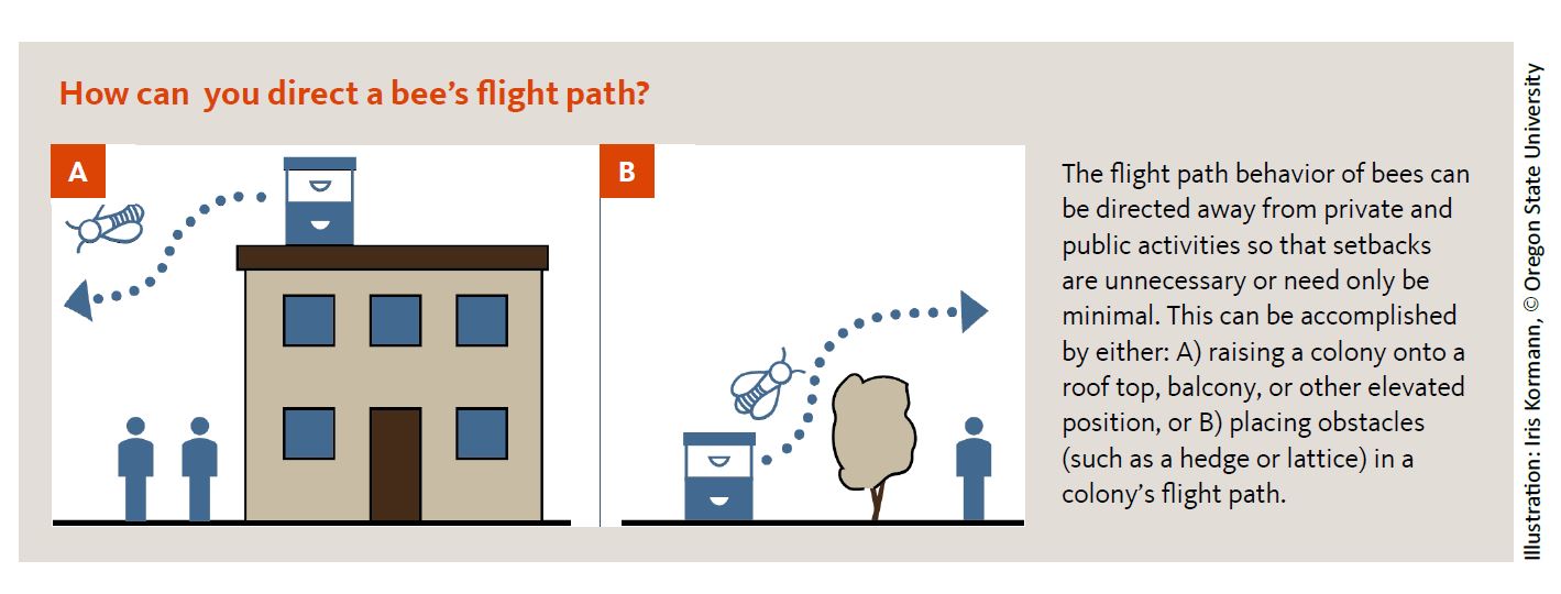 Nuisance-free beekeeping | Bad Beekeeping Blog