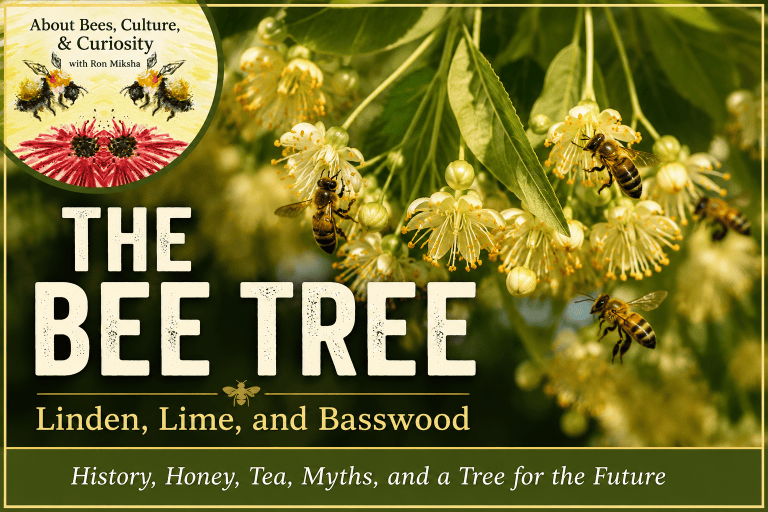 The 3-in-1 Bee Tree: Linden, Lime, and Basswood | Bad Beekeeping Blog